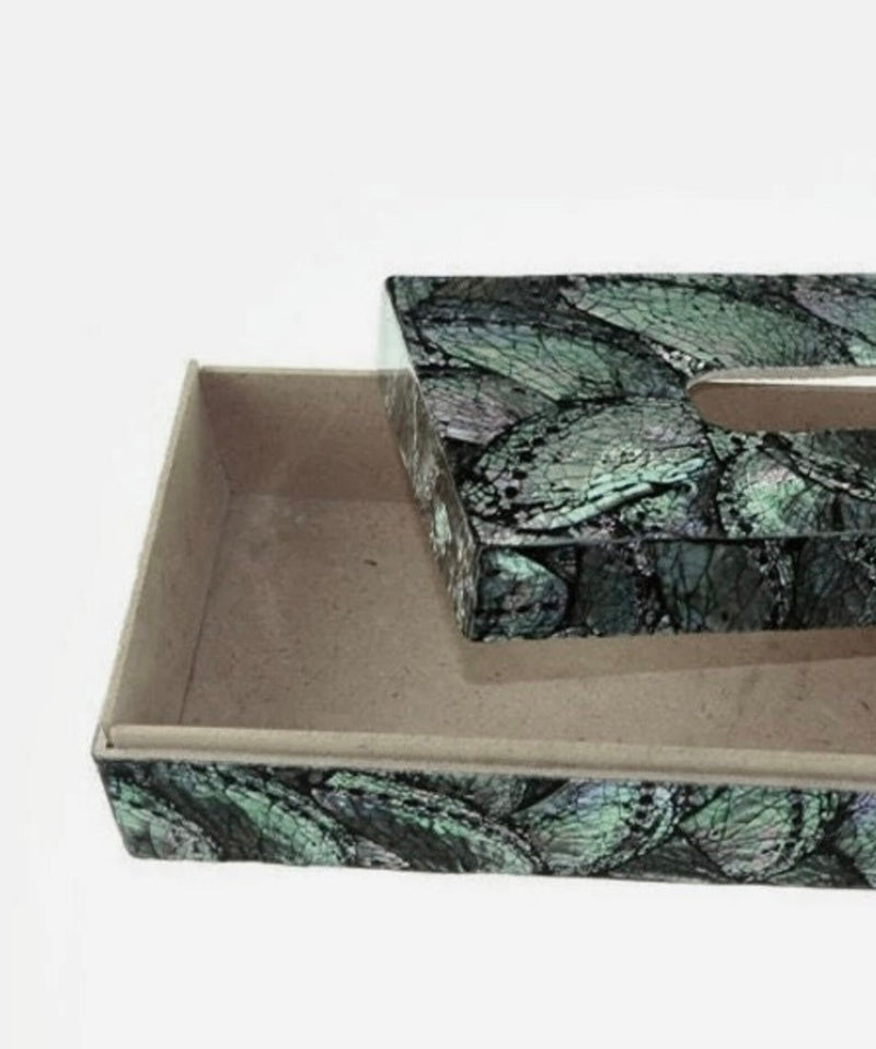 Abalone Shell Tissue Box