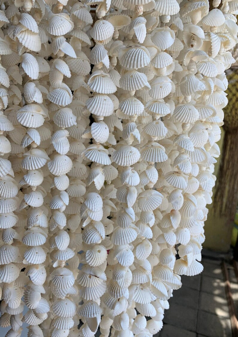 Seashell Cascade Chandelier