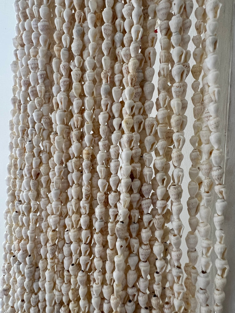 Dainty Pearly White Mini Shell Curtain Strands