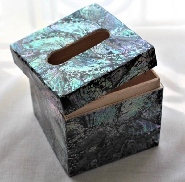 Abalone Shell Tissue Box