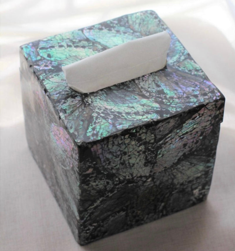 Abalone Shell Tissue Box