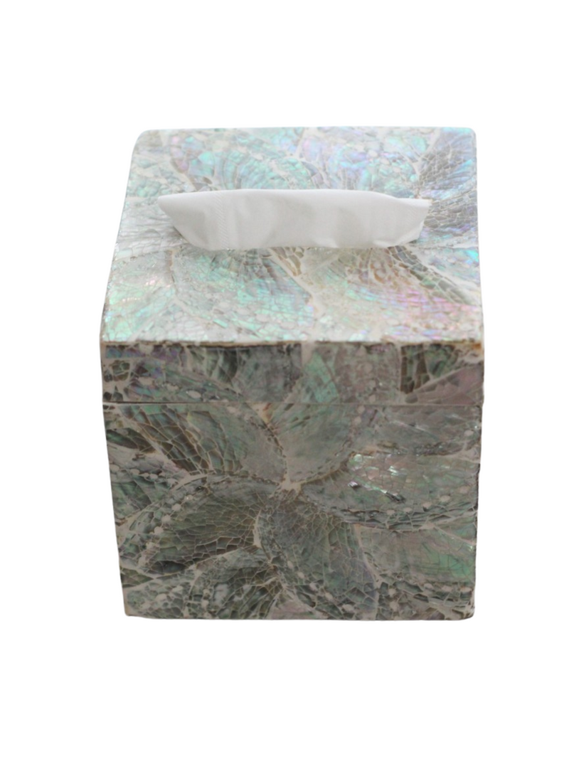 Abalone Shell Tissue Box