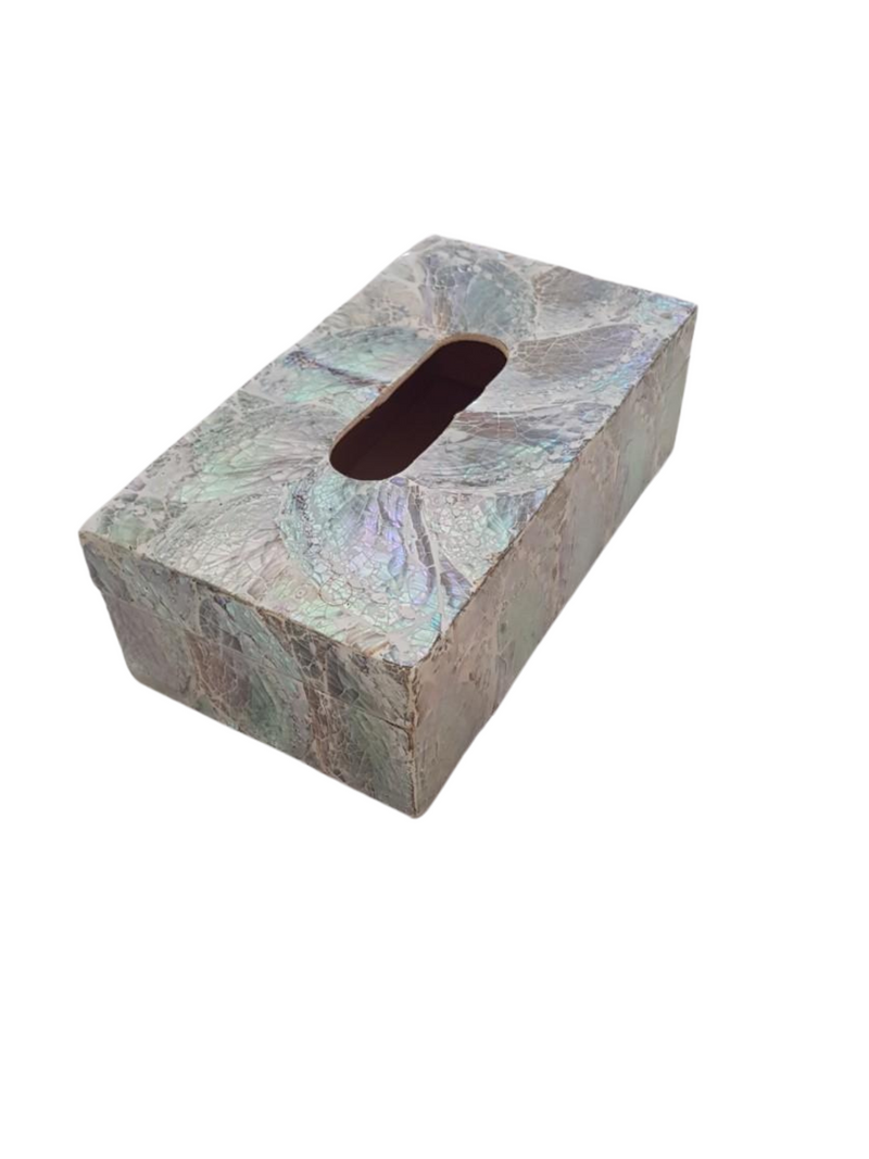 Abalone Shell Tissue Box